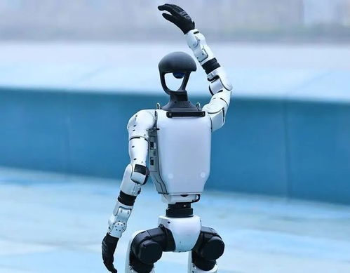 人形機器人產業迎來爆發期，宇樹科技啟動IPO引領行業新浪潮